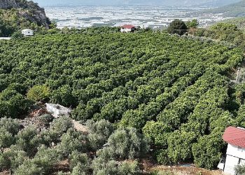 Kumlucalı üreticiler kapalı devre sulama tesisinden mutlu