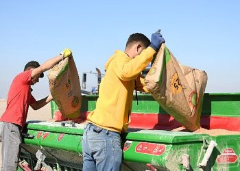 Lider Altay: “Temel Gayemiz Atıl Toprakları Ülke İktisadına Kazandırmak”