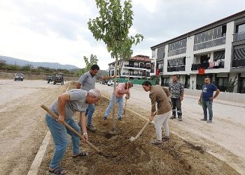 Lider Ceritoğlu sengel saha çalışmalarını yerinde inceledi
