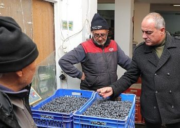 Lider Sertaslan devreye girdi, fiyatlar arttı