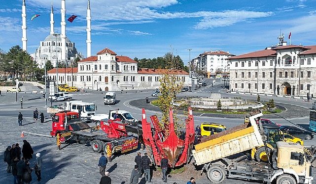 Meşhur “tek ağaç” asırlık çınar ile değiştirildi