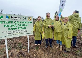 MetLife Türkiye çalışanları ikinci ormanları ile 24 bin 500 fidana hayat verdi