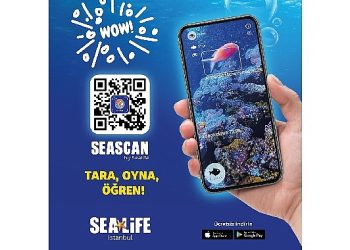 Okyanusun gizemli dünyası parmaklarımızın ucunda !