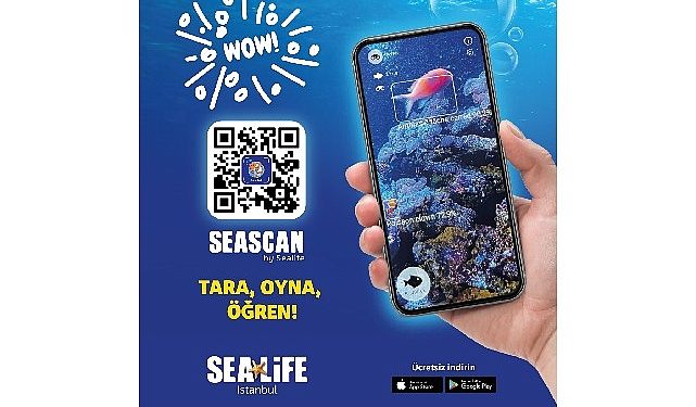 Okyanusun gizemli dünyası parmaklarımızın ucunda !