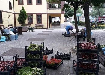 -Osmangazi Belediyesi ilçeyi çiçek bahçesine çeviriyor