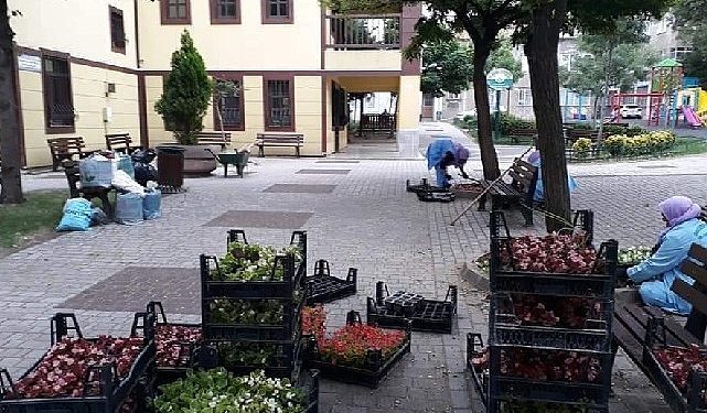 -Osmangazi Belediyesi ilçeyi çiçek bahçesine çeviriyor