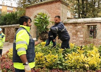 Yenilenen ve yeşillenen Yeni Cuma avlusu