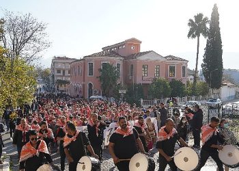 Zeytinin başşehri Milas;ta hasat coşkusu yaşanacak