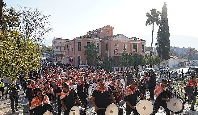 Zeytinin başşehri Milas;ta hasat coşkusu yaşanacak