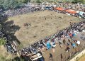 25.Geleneksel pelitköy deve güreşleri nefes kesti