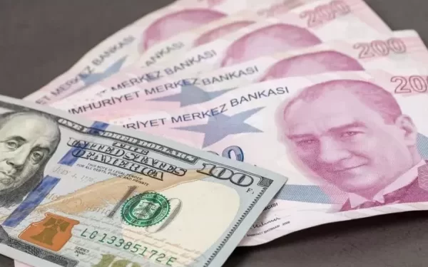 Ekonomistlerden Dolar/TL ve enflasyon beklentisi