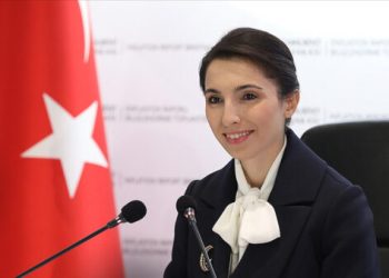 TCMB Başkanı Erkan’dan ‘dezenflasyon’ açıklaması