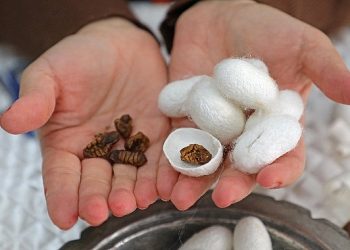 Alanya Sapadere İpek Meskeni hem üretim hem eğitim merkezi olacak 