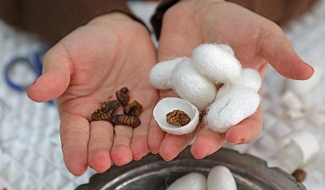 Alanya Sapadere İpek Meskeni hem üretim hem eğitim merkezi olacak