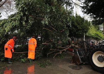 Antalya Büyükşehir grupları yağmur için teyakkuzda