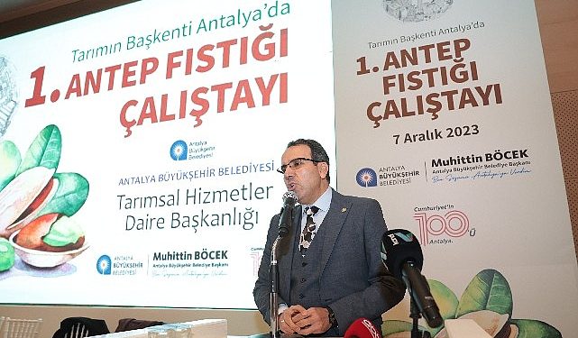 Antalya’dan Antep fıstığı üretimi hamlesi