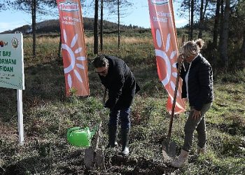 Banvit BRF Ormanları 50 bin ağaca ulaştı