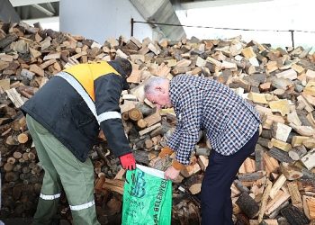 Bayrampaşa’da budanan ağaçlar meskenleri ısıtıyor