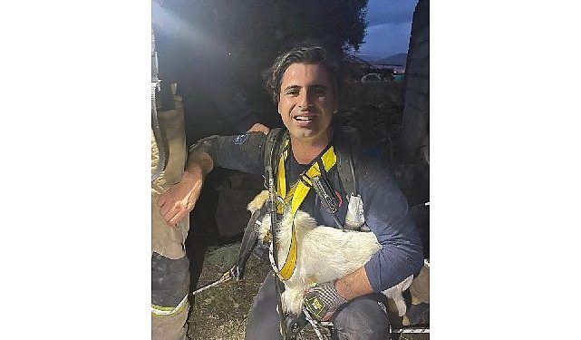 Bir aydır kayıp olan Pamuk’u İzmir İtfaiyesi sahibine kavuşturdu