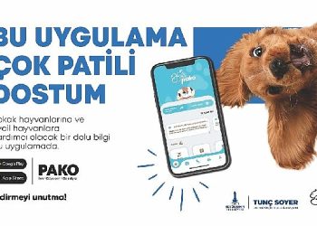 Büyükşehir’den can dostlar için “Pako” taşınabilir uygulaması