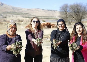 Büyükşehir’den Finike’ye soğuk hava deposu