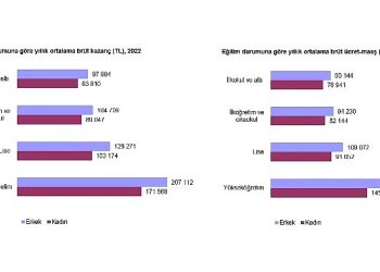 Çıkar Yapısı İstatistikleri, 2022