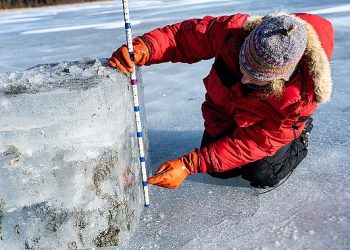 Gençler telaşlı, dehşetli lakin birebir vakitte umutlu