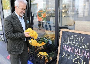 Hataylı üreticiye umut veren dayanak