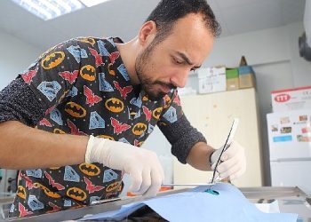 Hayvan Dostu Belediye