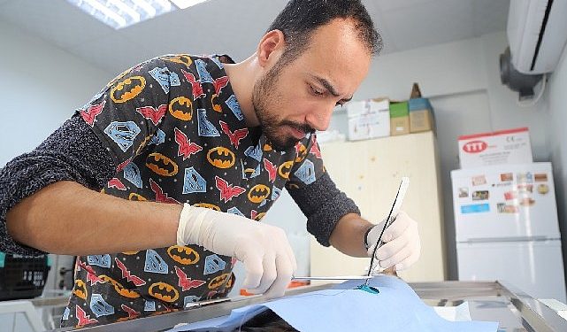 Hayvan Dostu Belediye