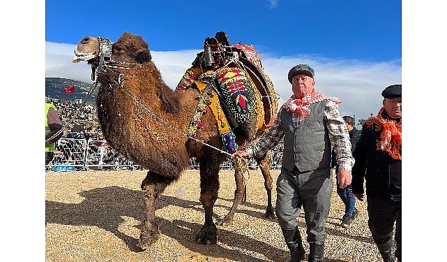 Kemalpaşa, klasik deve güreşi şenliği’yle reklendi