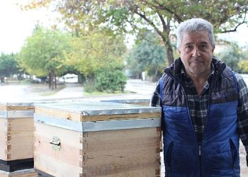 Kemer’de arı üreticilerine kovan dayanağı