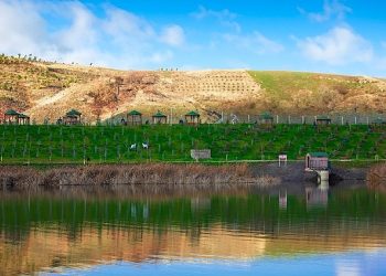 Kışın eşsiz görünümleri kösrelik göleti mesire alanı’nda