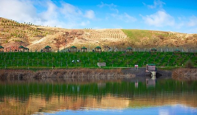 Kışın eşsiz görünümleri kösrelik göleti mesire alanı’nda