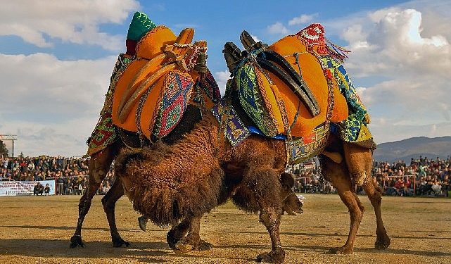 Körfezin incisi burhaniye 1. ulusal fotoğraf müsabakası sonuçlandı