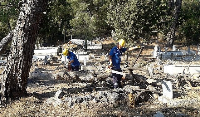 Muğla Büyükşehir Kara Kış Yardımları ile Vatandaşın Yanında