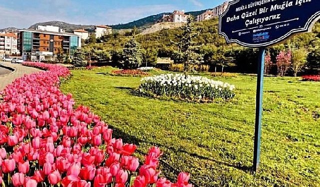 Muğla Büyükşehir Yeşil Alan Ölçüsünü Vilayet genelinde Yüzde 92 Arttırdı