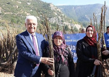 Muğla Büyükşehir’den Üreticilere 151 Bin 780 Fidan Takviyesi