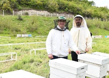 Mustafakemalpaşa tarımda en bereketli periyodunu yaşıyor