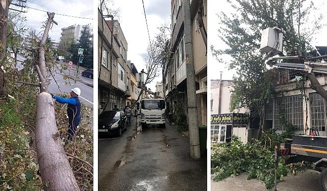 Osmangazi’de lodos mesaisi