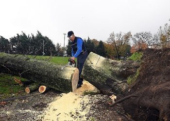 Osmangazi’de lodosun tesirleri temizleniyor