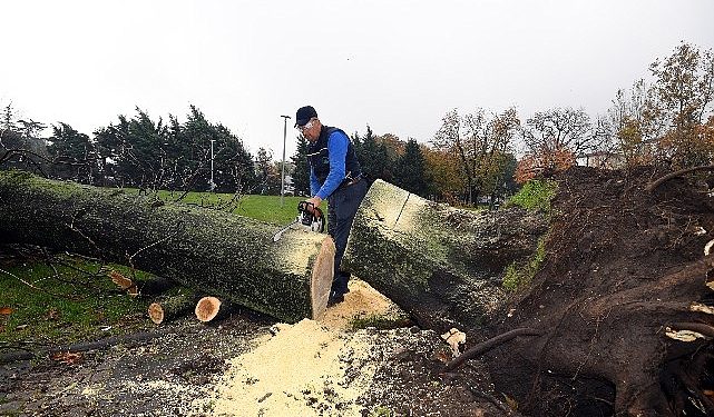 Osmangazi’de lodosun tesirleri temizleniyor