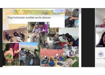 Prof. Dr. Öztürk ” Bitkisel tıbbi eserlere ‘masum’ gözüyle bakılmamalı”