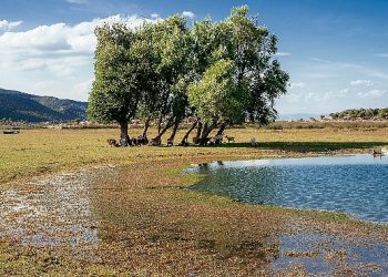Sulak Alanlar için Olumlu Karar