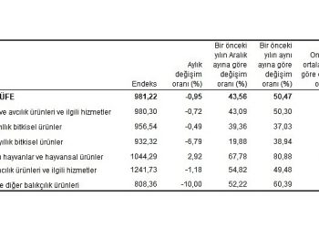 Tarım eserleri üretici fiyat endeksi (Tarım-ÜFE) yıllık yüzde 50,47 arttı, aylık yüzde 0,95 azaldı