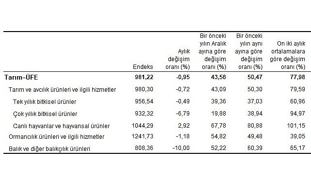 Tarım eserleri üretici fiyat endeksi (Tarım-ÜFE) yıllık yüzde 50,47 arttı, aylık yüzde 0,95 azaldı
