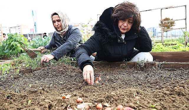 Tarımda mahalle seferberliği bu bostanlar halkın