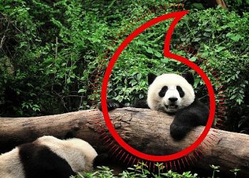 Vodafone ve WWF’ten “Gezegen İçin Bir Milyon Telefon” kampanyası