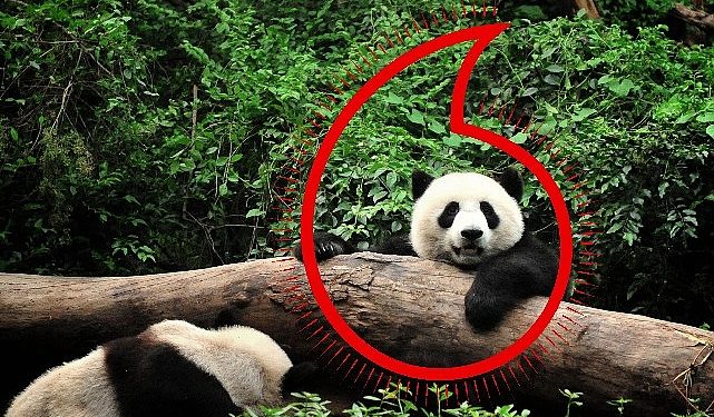 Vodafone ve WWF’ten “Gezegen İçin Bir Milyon Telefon” kampanyası