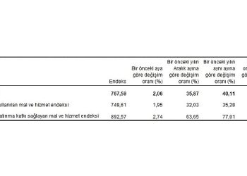 Ziraî girdi fiyat endeksi (Tarım-GFE) yıllık yüzde 40,11, aylık yüzde 2,06 arttı